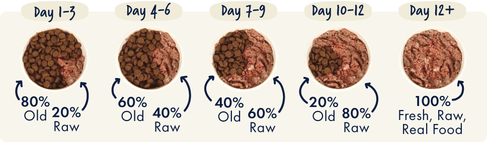 Step-by-step visual raw food transition guide for dogs and puppies