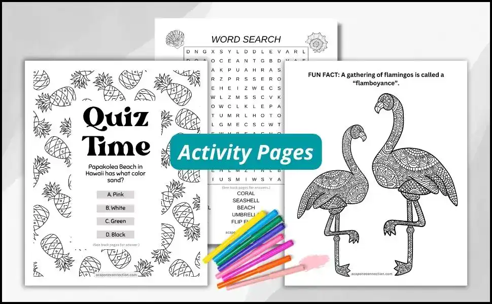 Travel Activity Journal Activity Pages