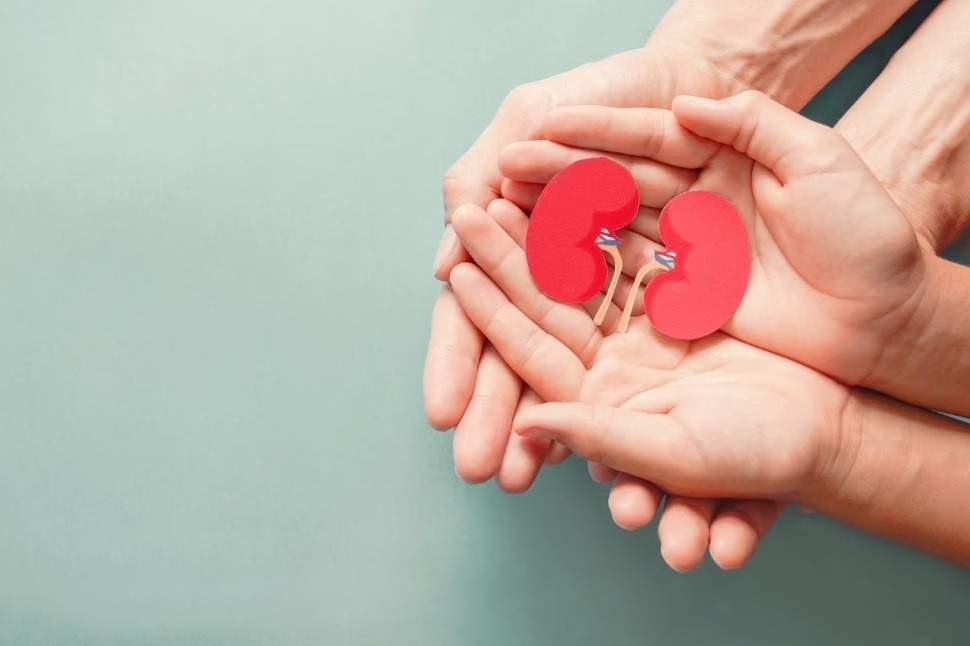 Böbrek Taşı Ameliyatı