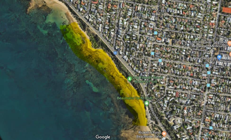 Beaumaris and Black Rock - Best dog-friendly beaches in Melbourne and Mornington Peninsula