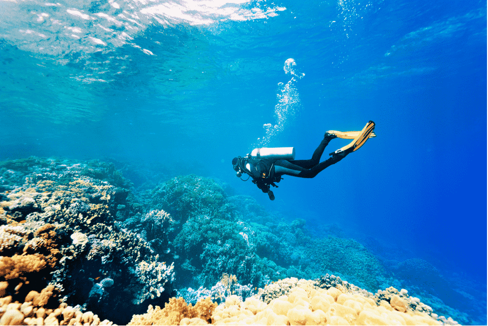 Los 4 mejores cursos de buceo en España