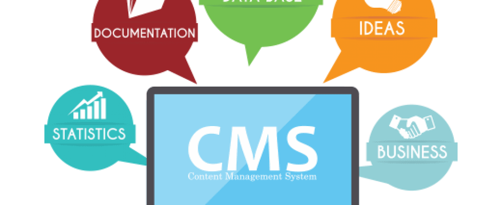cms (1)