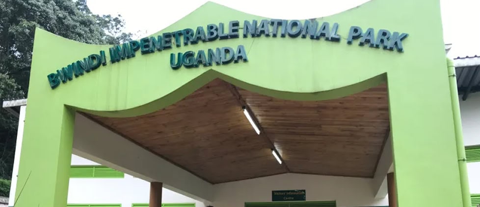 Activities in Buhoma Gorilla Sector