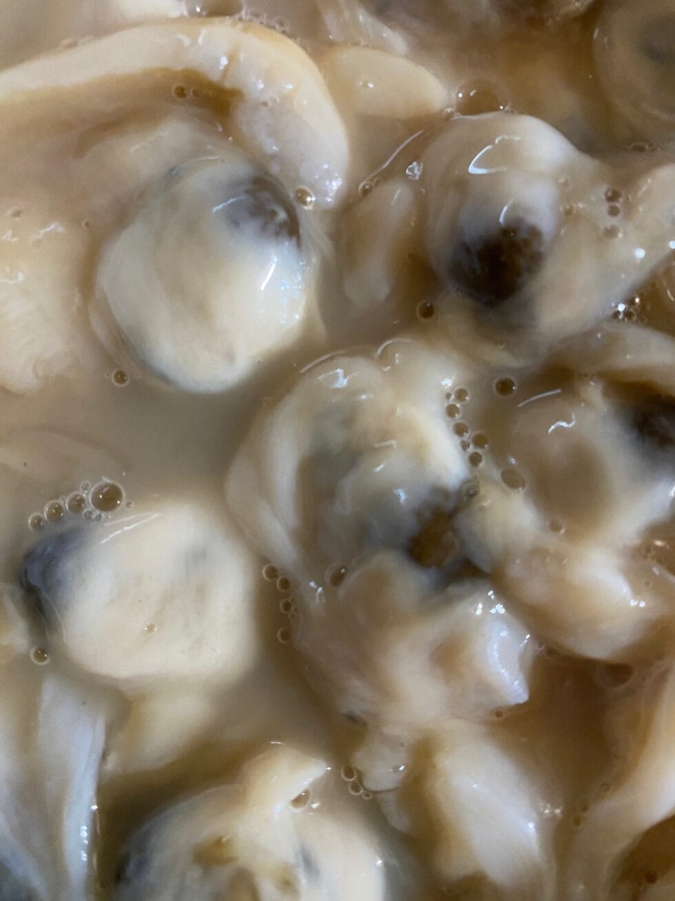 Frying-Clam-Bellys-Pic-Personal-Pic-rotated-3.jpg