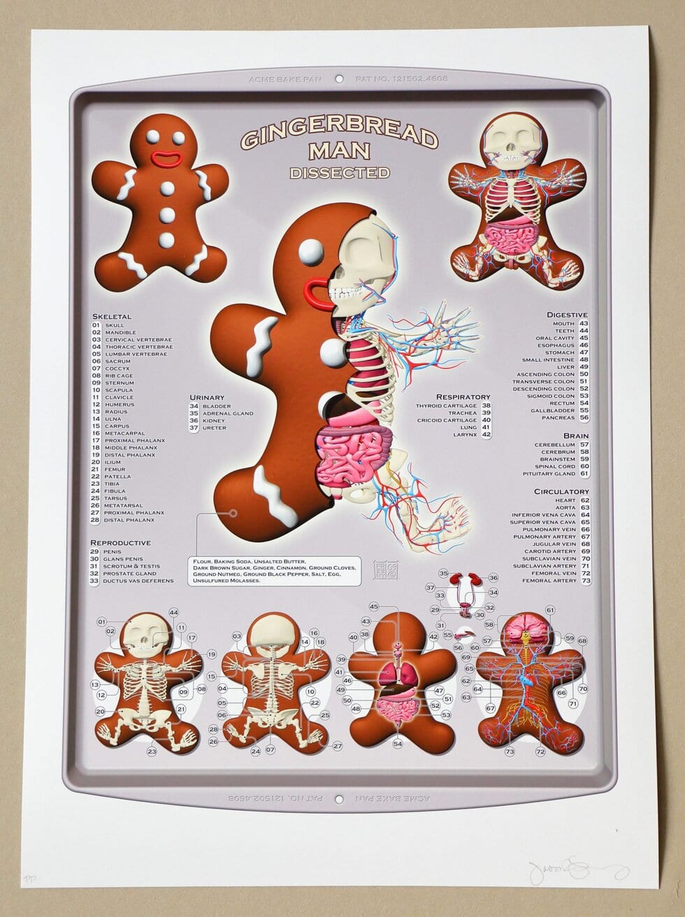 Lot #HB29-076 – Jason Freeny Gingerbread Man Dissected Print Limited Edition of 75 Art Archival Pigment Print