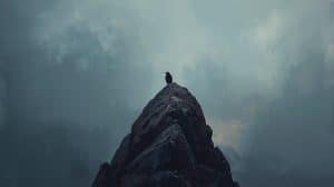 A Lonely Bird Perched on the Top