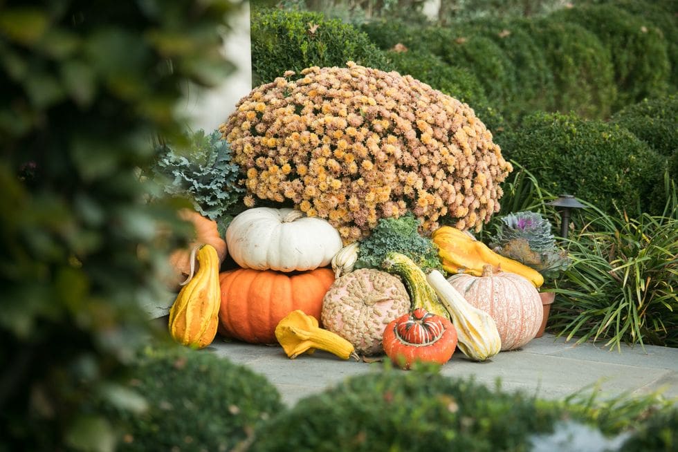 janice-parker-autumn-photo-by-neil-landino-jr-2-1631030565 janice-parker-autumn-photo-by-neil-landino-jr-2-1631030565 fall porch decor ideas 20+ Beautiful Fall Porch Decor Ideas You Will Want To Try janice parker autumn photo by neil landino jr 2 1631030565