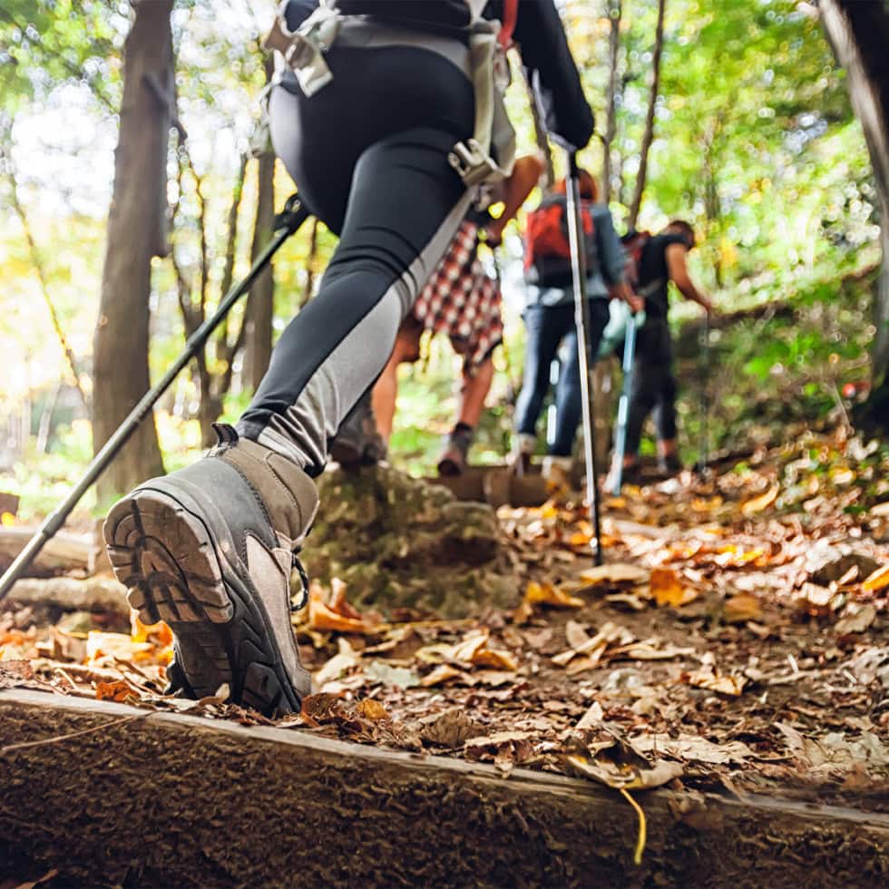 People hiking up a wooded trail in Indiana, illustrating outdoor exposure risks associated with Lyme disease and the importance of early Lyme disease treatment at BionwoRx in Carmel, Indiana.