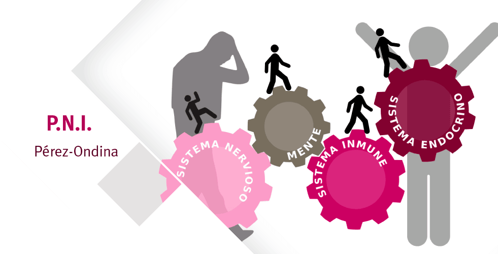 Psiconeuroinmunología clínica PNI en Móstoles integrando sistema nervioso, inmune y endocrino<br />
