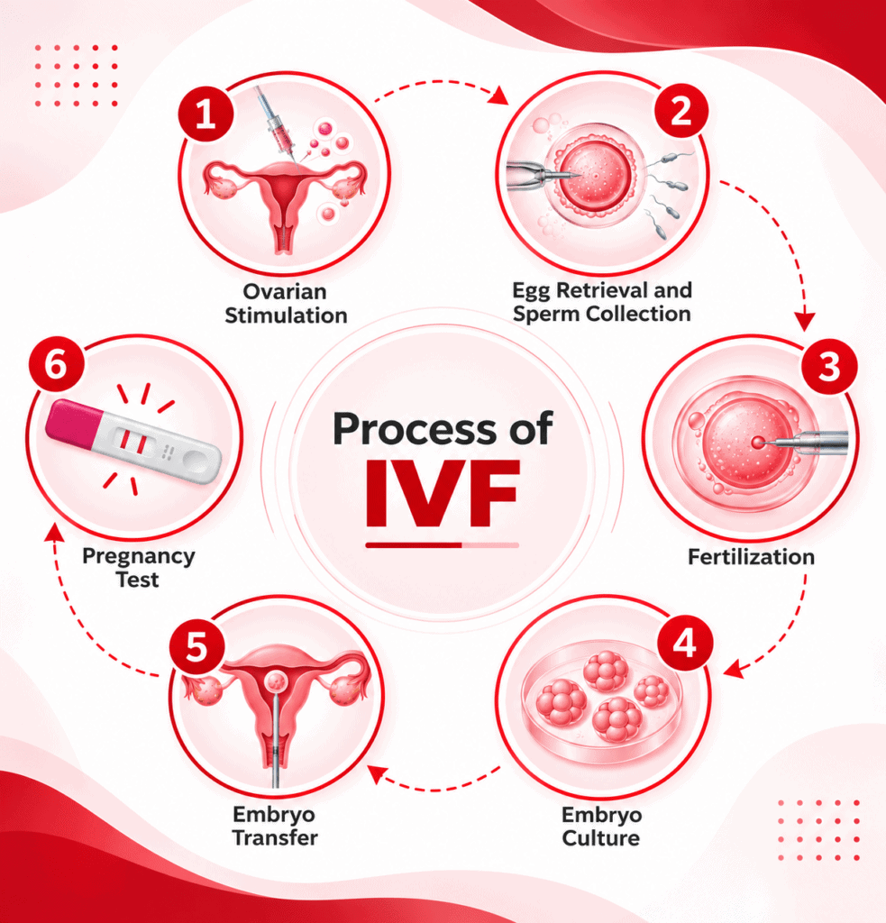 IVF Procedure Step Step at Imprimis IVF Centre, Jammu