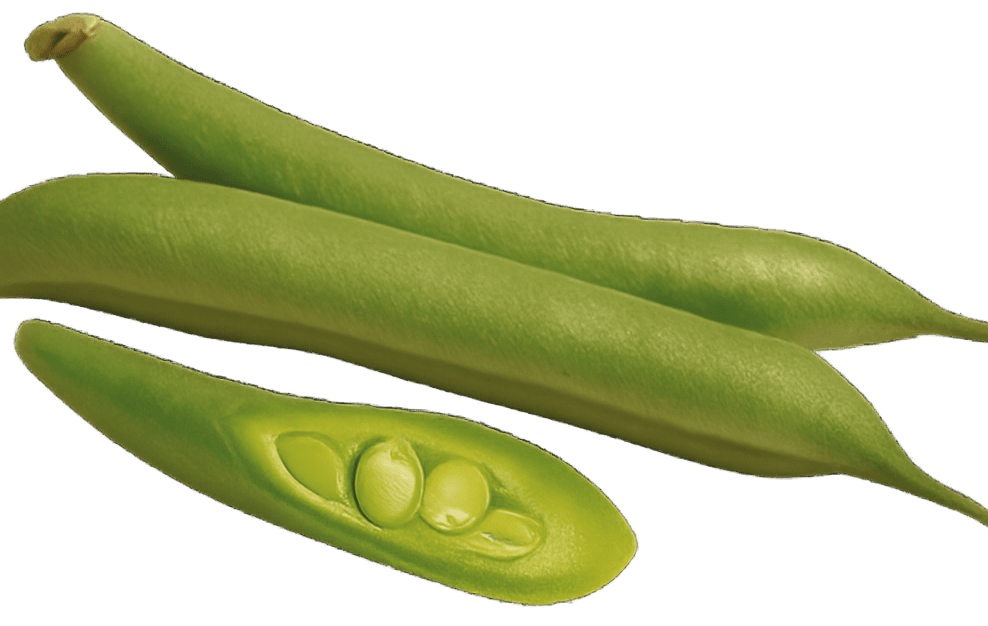 Green Beans