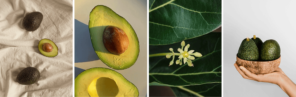 productores en origen