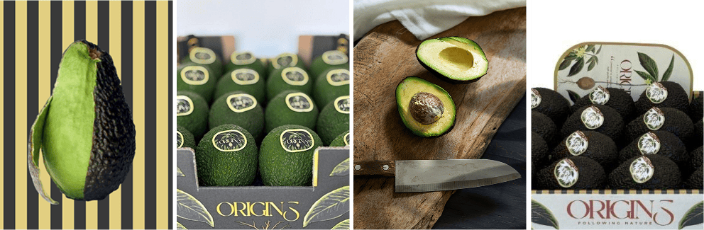 aguacate extra