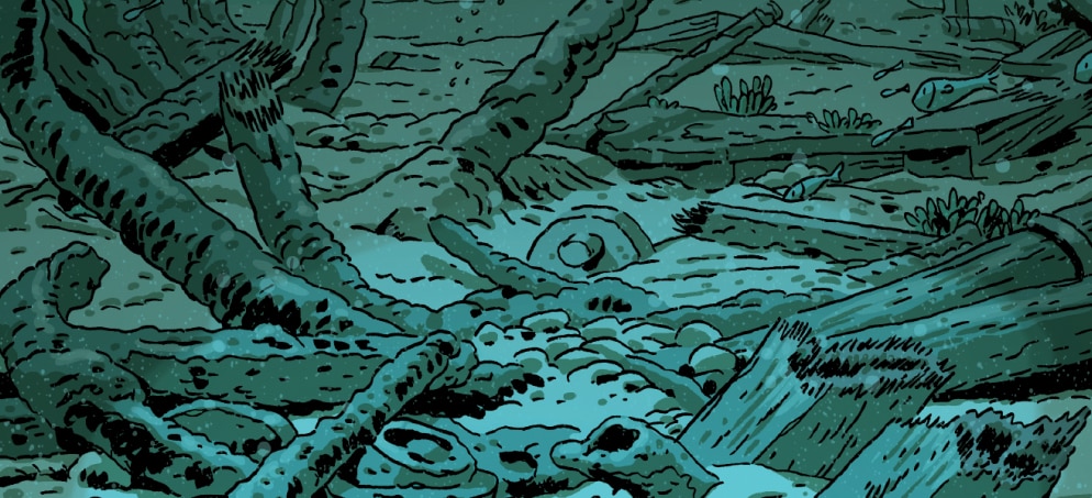 il tesoro del cigno nero abissi