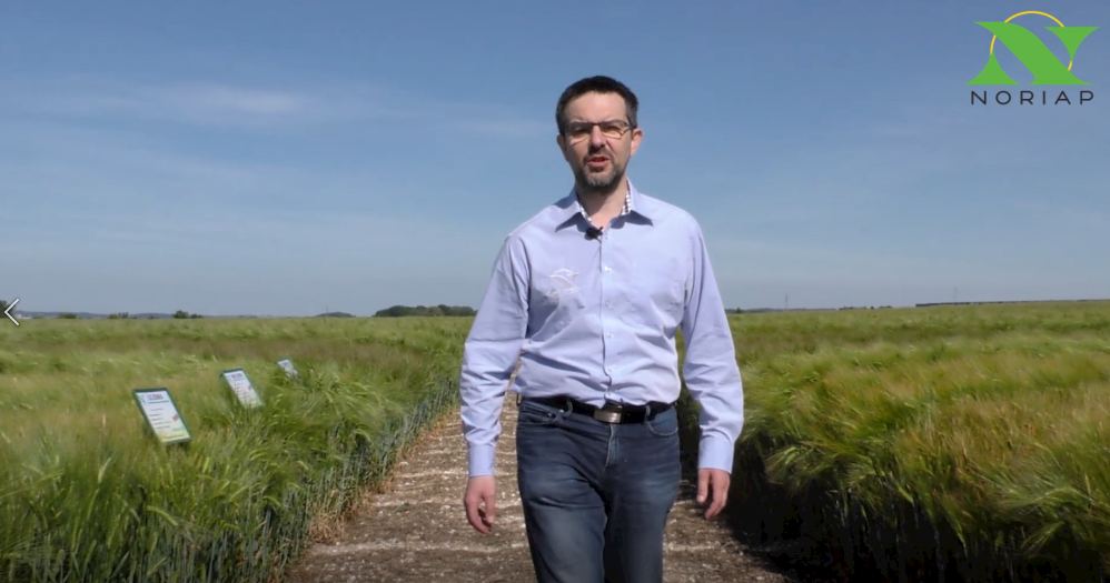 Philippe Pluquet au milieu d'un champ de visite d'essai Noriap