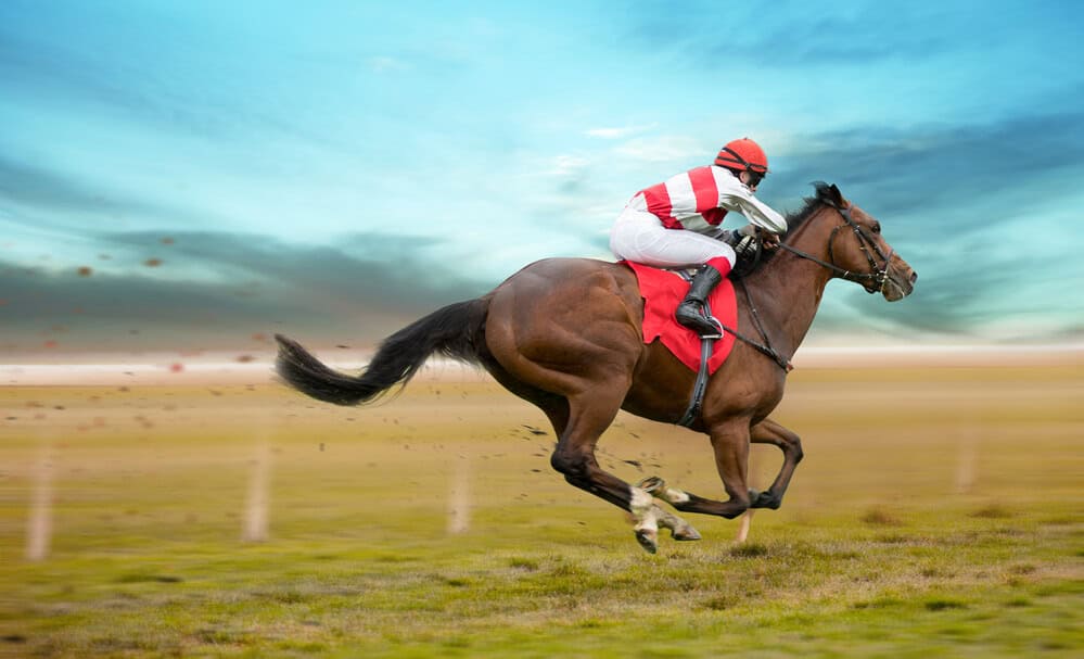 training racehorse for Kentucky Derby