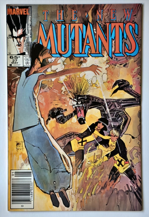 The New Mutants Issue 27