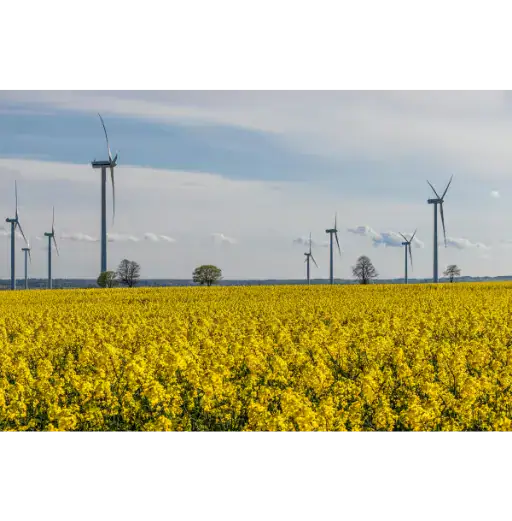 real decreto 7/2026 ayudas gobierno impuesto switch energía facturas transparencia