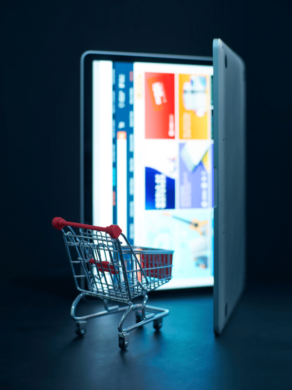 sports merchandise ecommerce