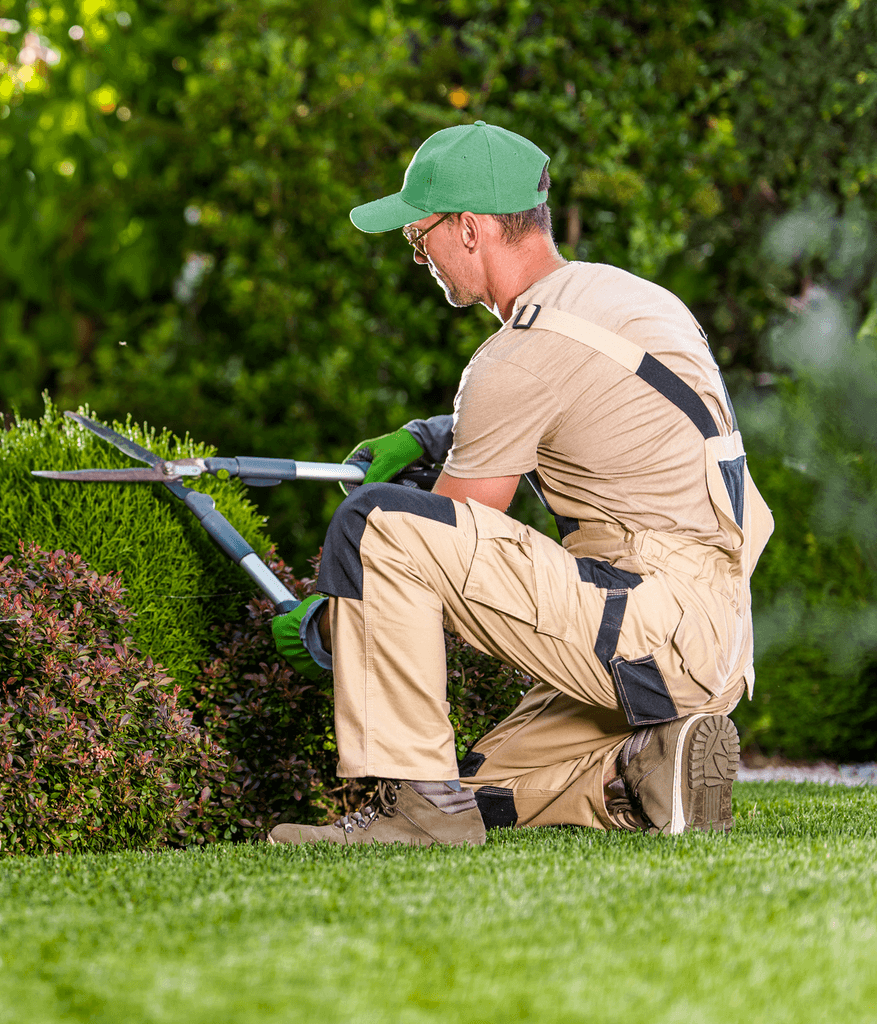 Precision Lawn Mowing