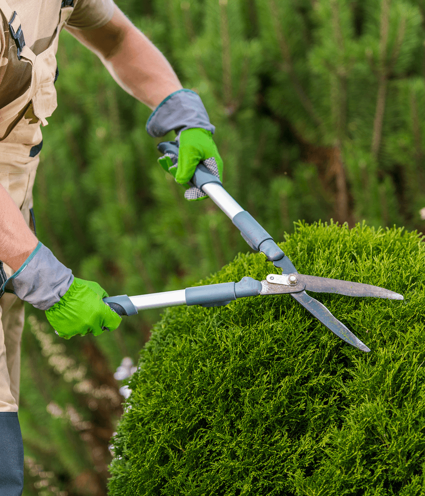 Trimming Around All Obstacles