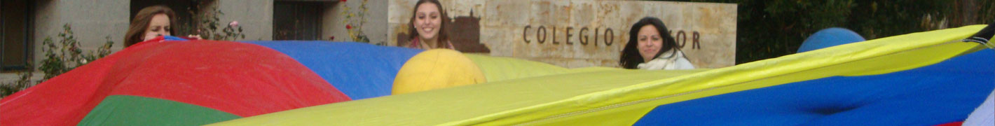 banner5