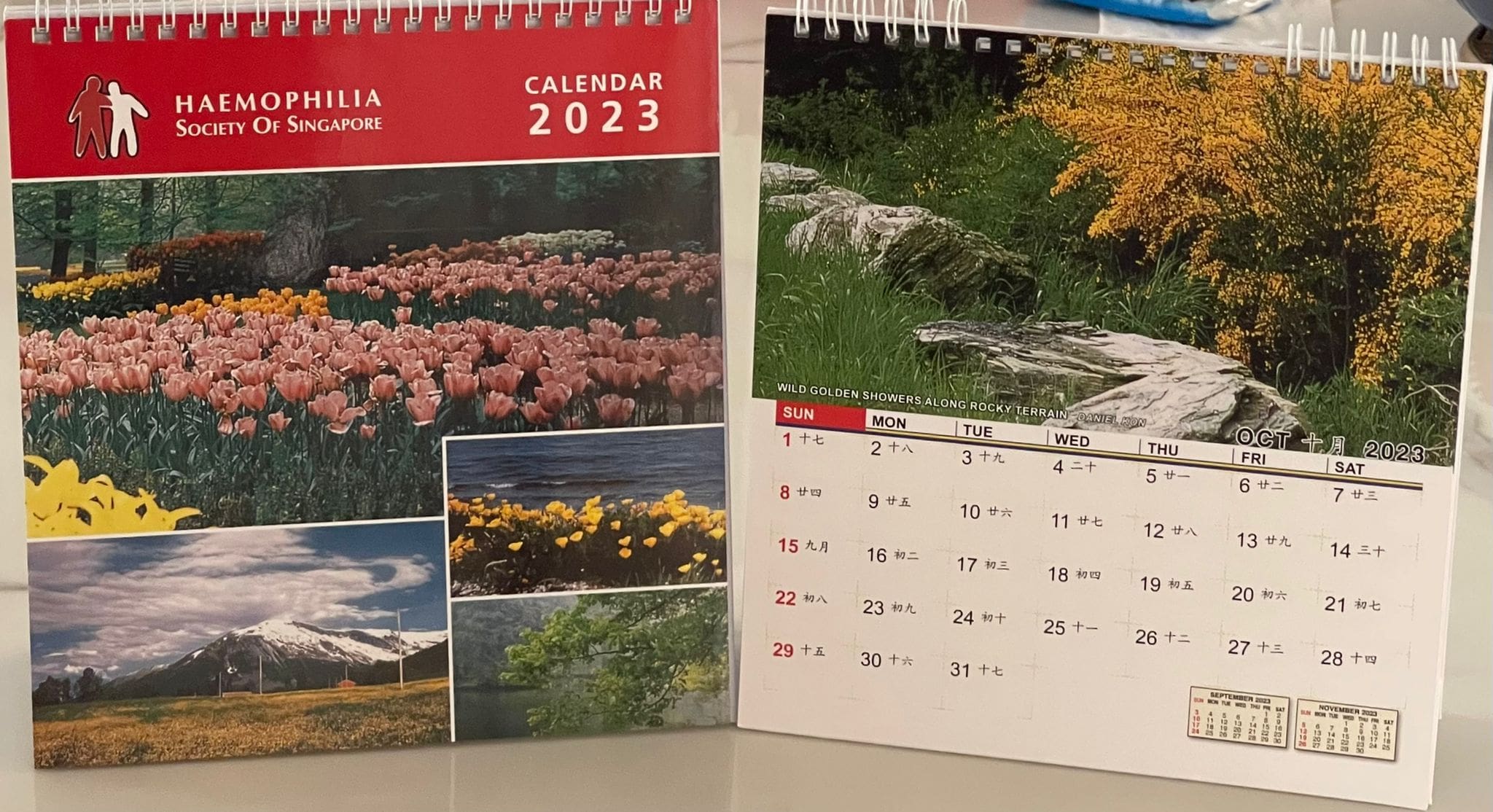 HSS Desk Calendar Charity Sale 2022