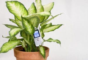 botanicalls MyFixitUpLife