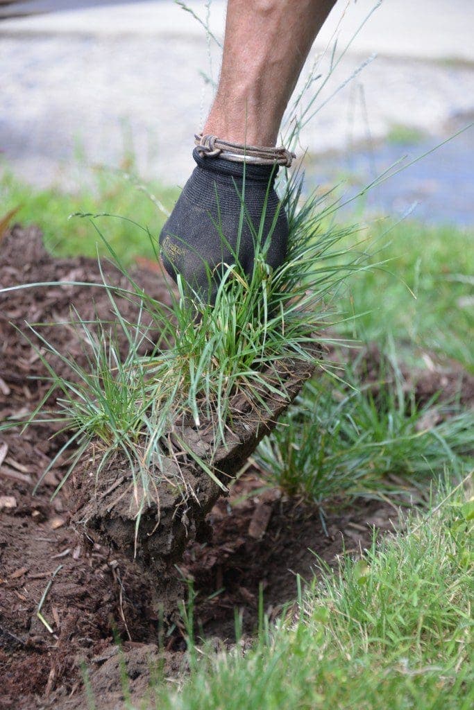 Lawn care Lawn care trick you need to know Frig it sprig it MyFixitUpLife MyFixitUpLife Lawn care