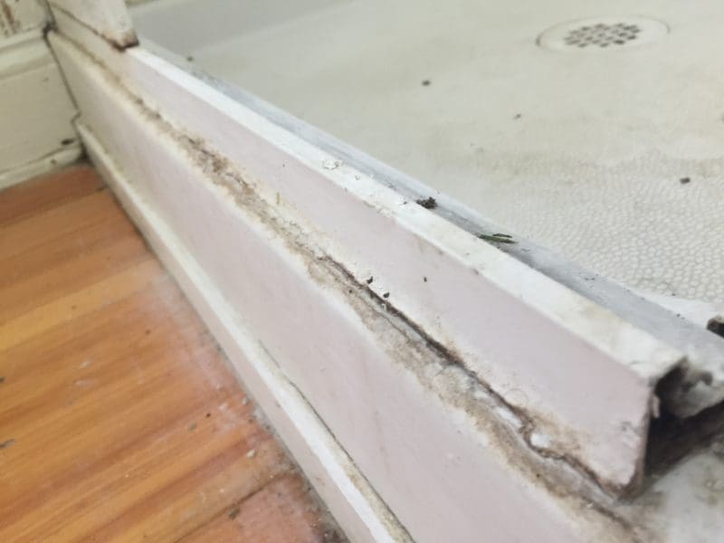 MyFixitUpLife Hyde Tools Bathroom Fix0296 Toolbox for Life Carpenter Mark on life lessons DIY caulking showers MyFixitUpLife MyFixitUpLife life lessons