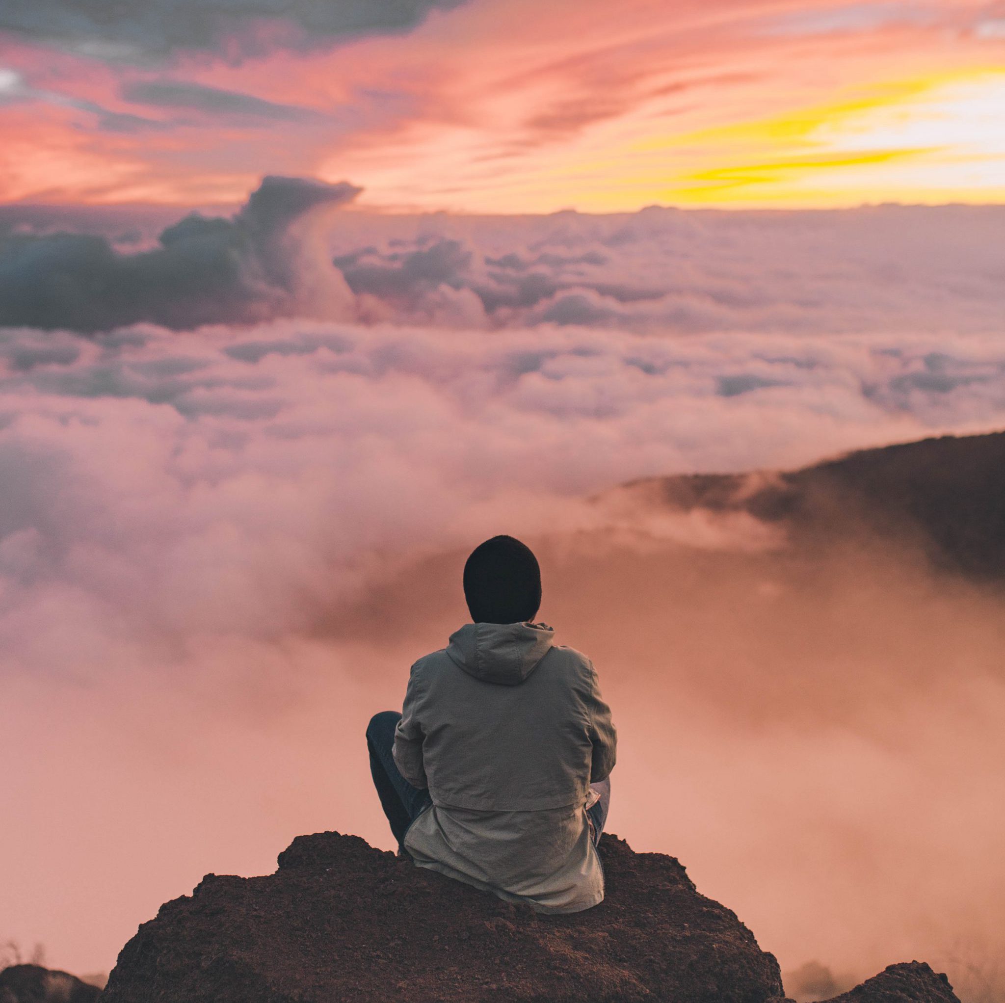 cropped-ian-stauffer-uftqFbfWGFY-unsplash-scaled-5.jpg