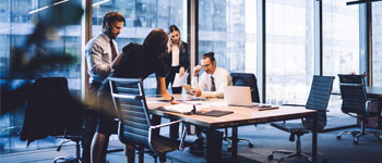 Profesionalización del sector