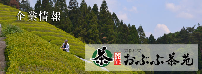 企業情報