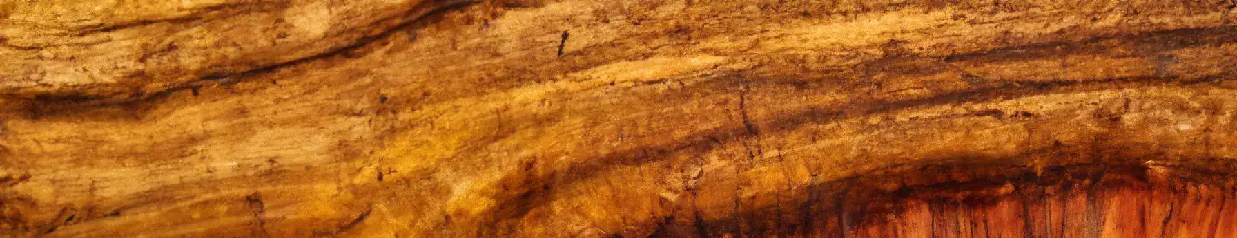 Amberwood note – ambery-woody tone radiating contemporary warmth and subtle sophistication
