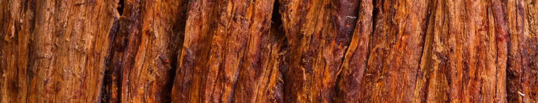 Oud note – deep, smoky, and resinous wood accord symbolizing timeless opulence