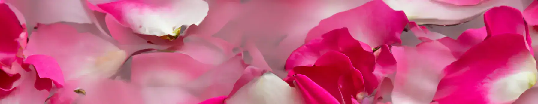 Rose Water Extract