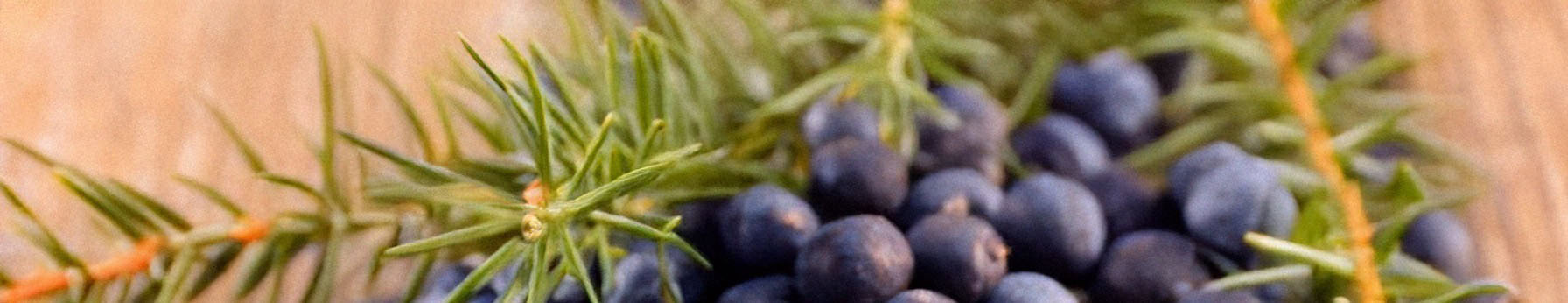 Juniper Berries Essence