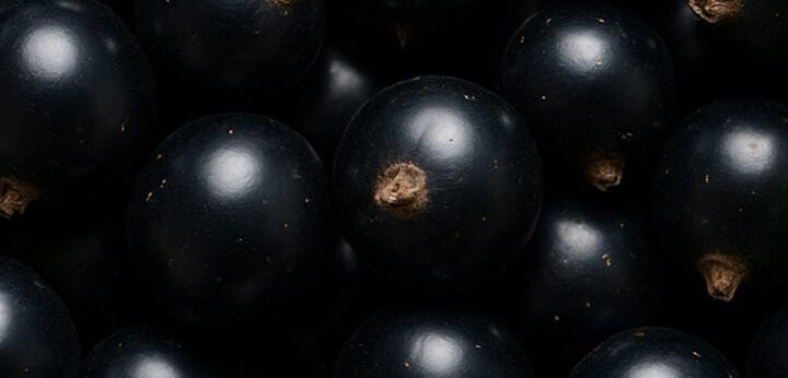 Blackcurrant – vibrant fruity top note