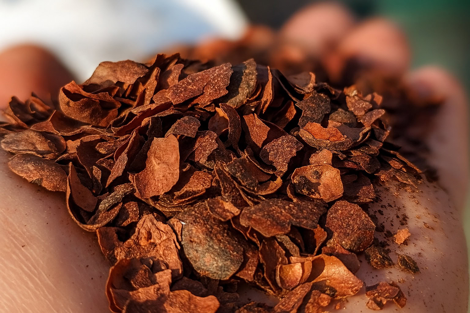 Cocoa Shell note – gourmand earthy sweetness