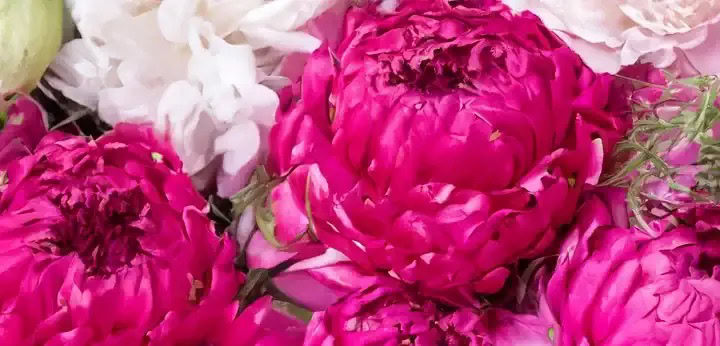 Floral Notes – radiant bouquet freshness