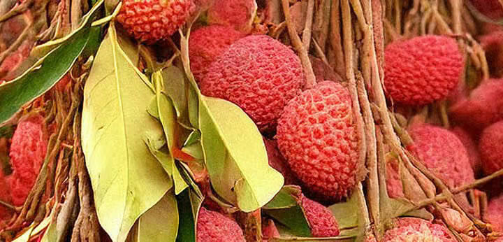 Lychee note – smooth and delicately sweet