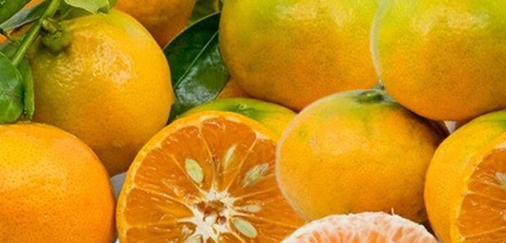 Mandarin – top note in Coach Cherry Parfum