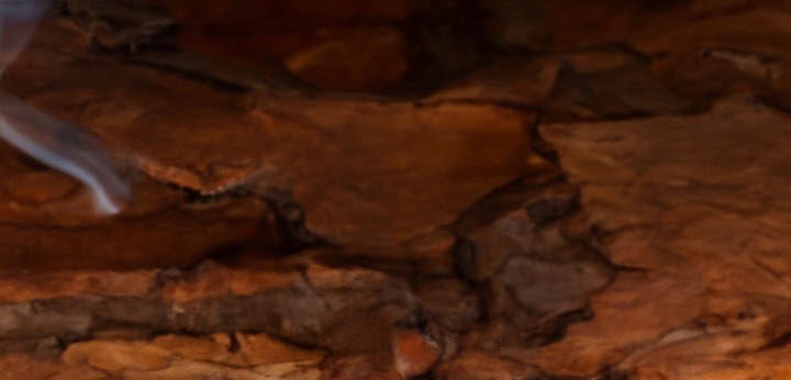 Queenwood note – soft woody sensuality and elegant warmth