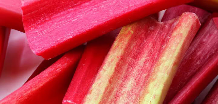 Rhubarb Accord – crisp botanical tone with lively green character