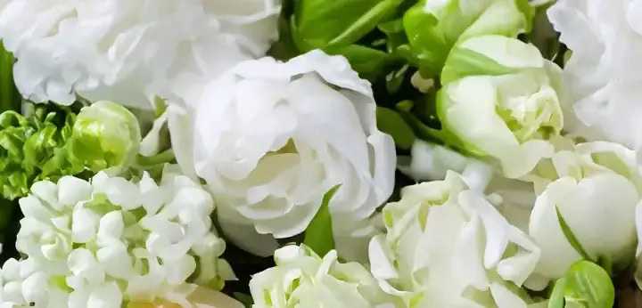 White Flowers note – delicate floral radiance