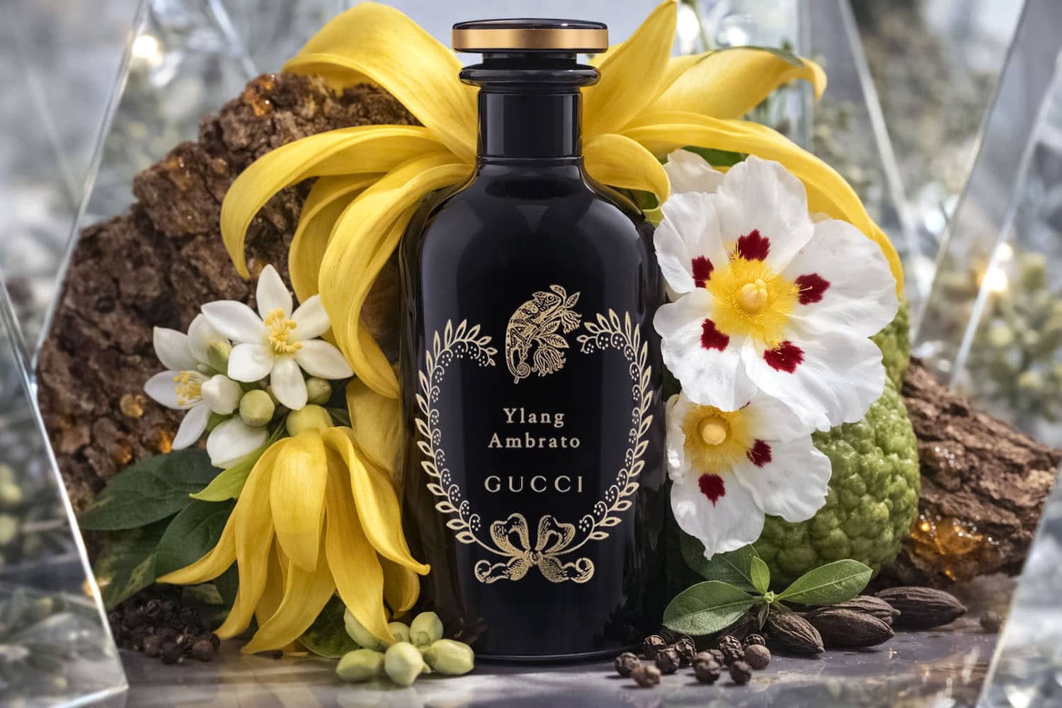 Gucci The Alchemist’s Garden Ylang Ambrato and Lignum Idealis Eau de Parfum bottles from the Alchemist’s Garden collection