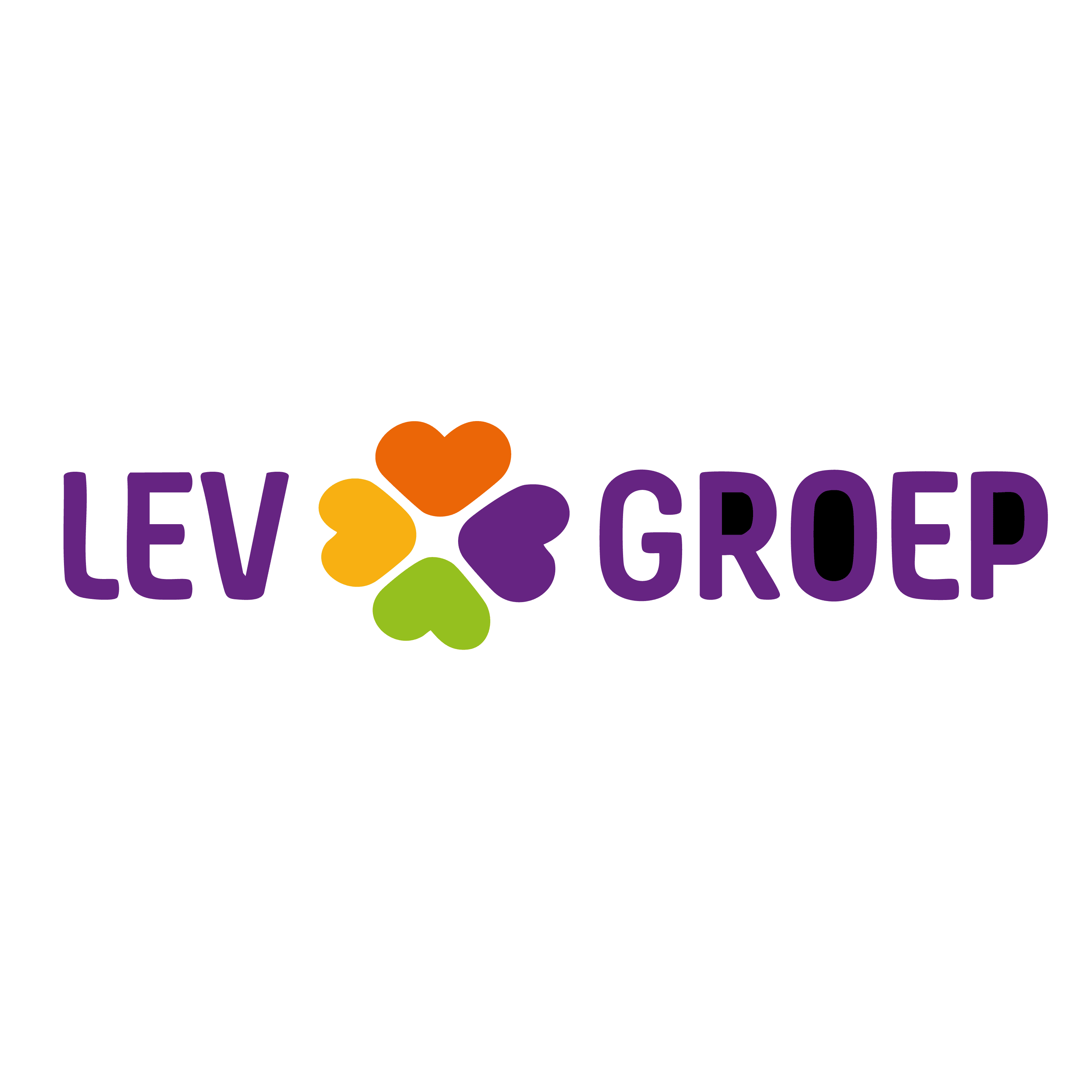 LOGO LEV Groep
