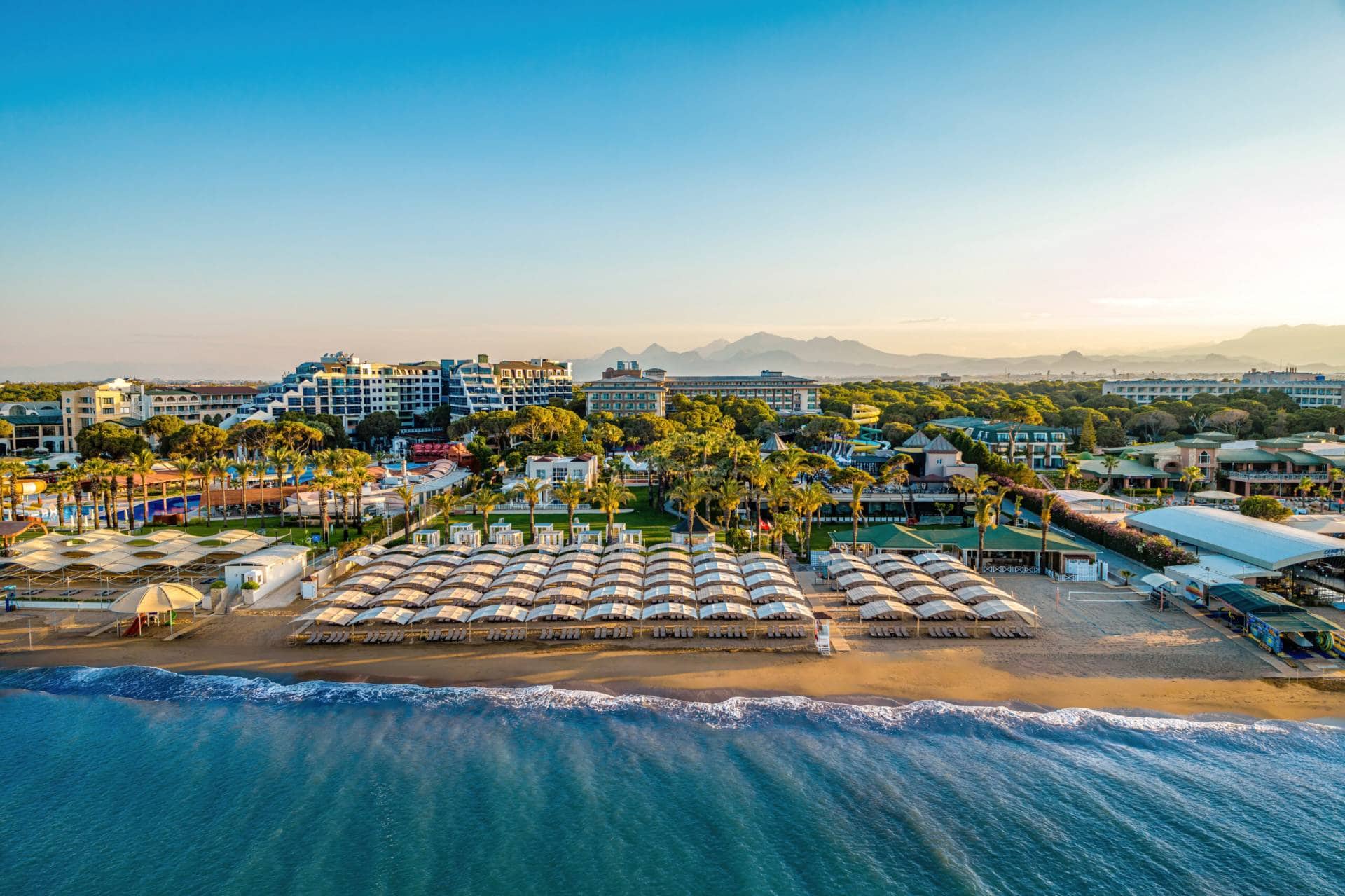 PAPILLON AYSCHA - BELEK