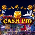 Cash Pig