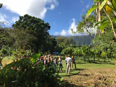 Oahu Cacao Farm Tour and chocolate tastings